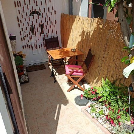 Sonja Apartment Premantura Dış mekan fotoğraf
